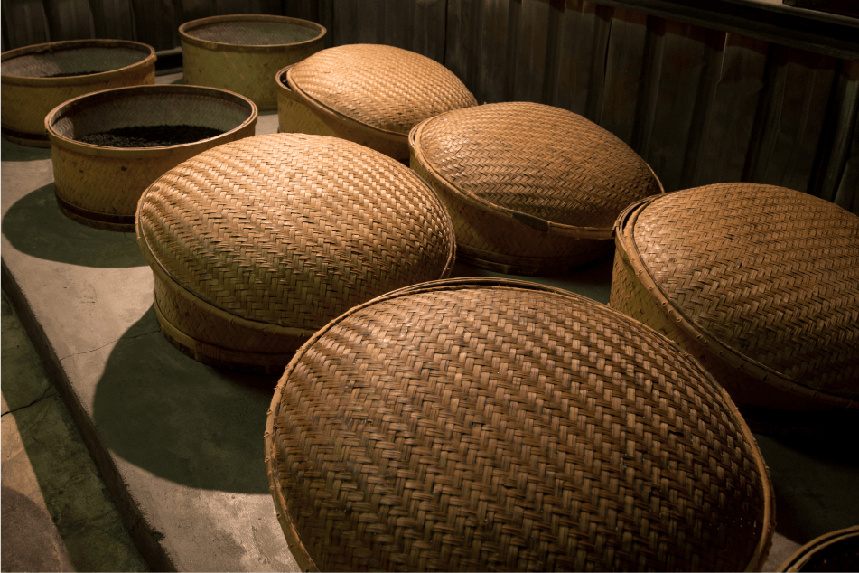 烏龍茶製作工藝－百年製茶品牌｜遊山茶訪
