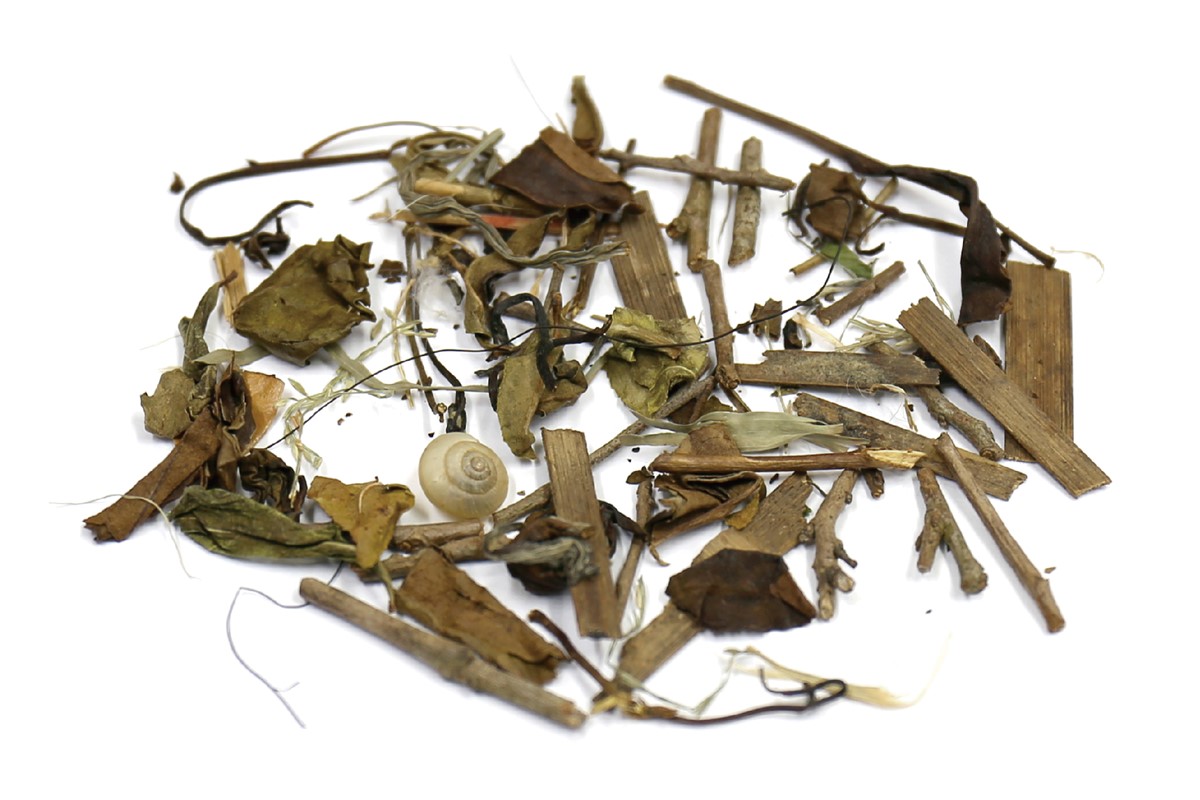 喝茶只需要關心農藥就好了嗎 ? ｜茶葉中異物如何影響食品安全