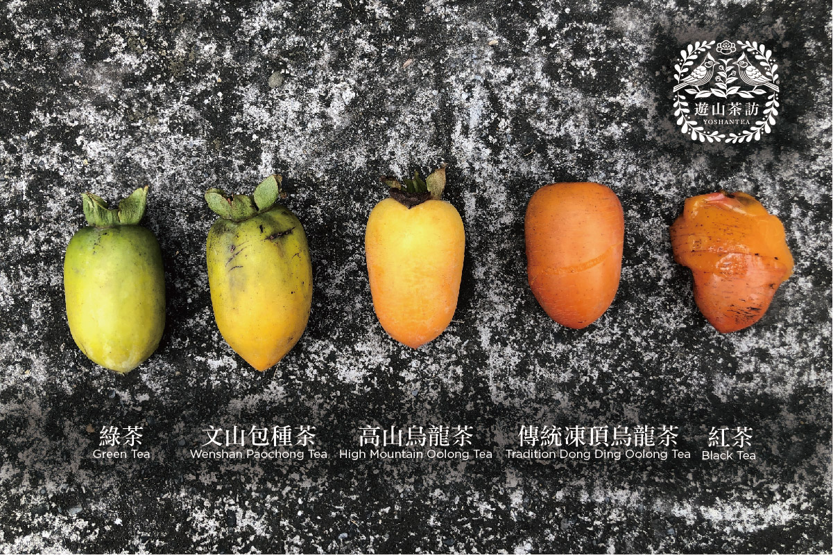 常見的“清茶”與“青茶”，到底是什麼茶？｜茶葉發酵程度與命名