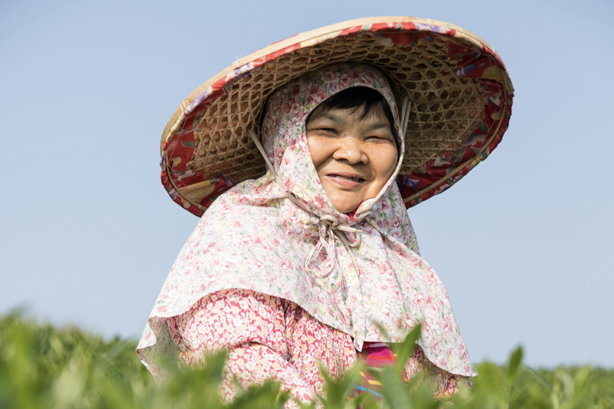 Drinking Fine Tea, Making the Past Events Fading like a Puff of Smoke.｜Tea and Lifestyle