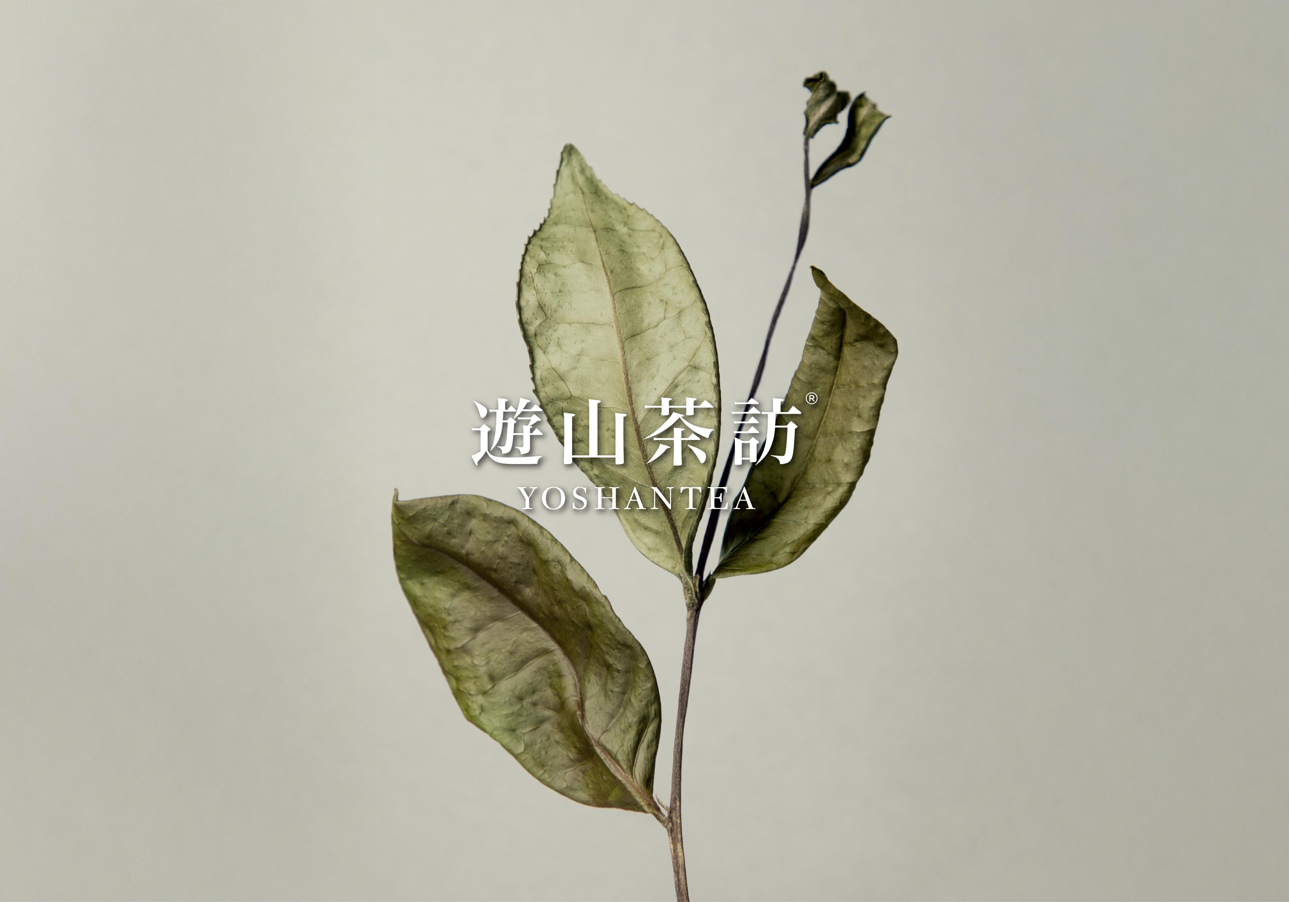 Does Tea with Stems Mean Poor Quality? | Understanding the Functions of Tea Stems