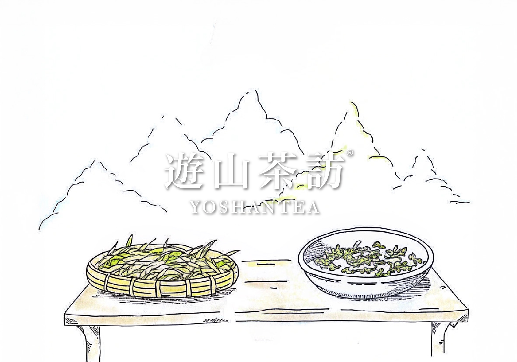 多少斤的新鲜茶叶可以制作一斤的乌龙茶成品？完整解析「茶菁与茶干转换率」