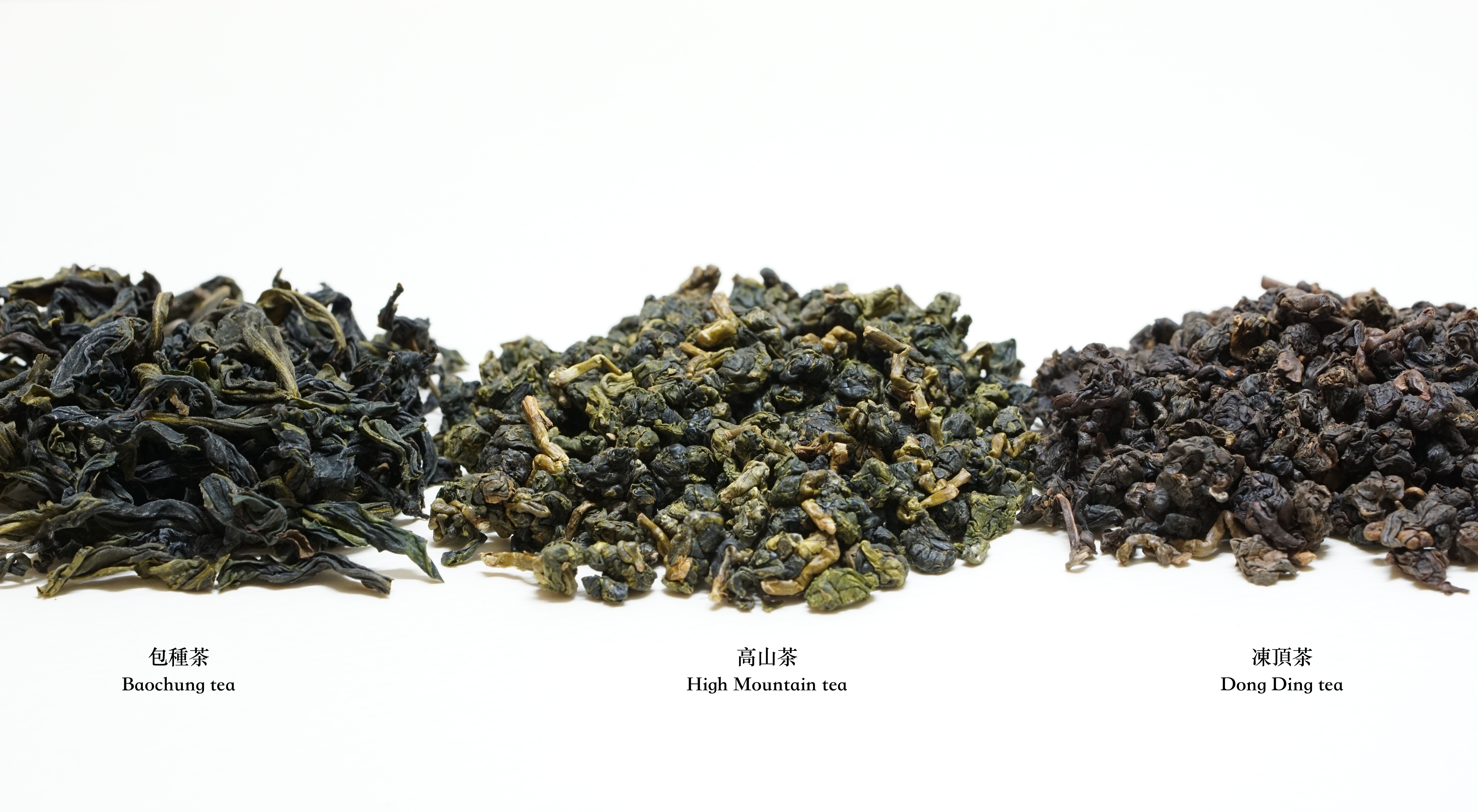 臺灣烏龍茶名字的演進與意義｜台灣烏龍茶