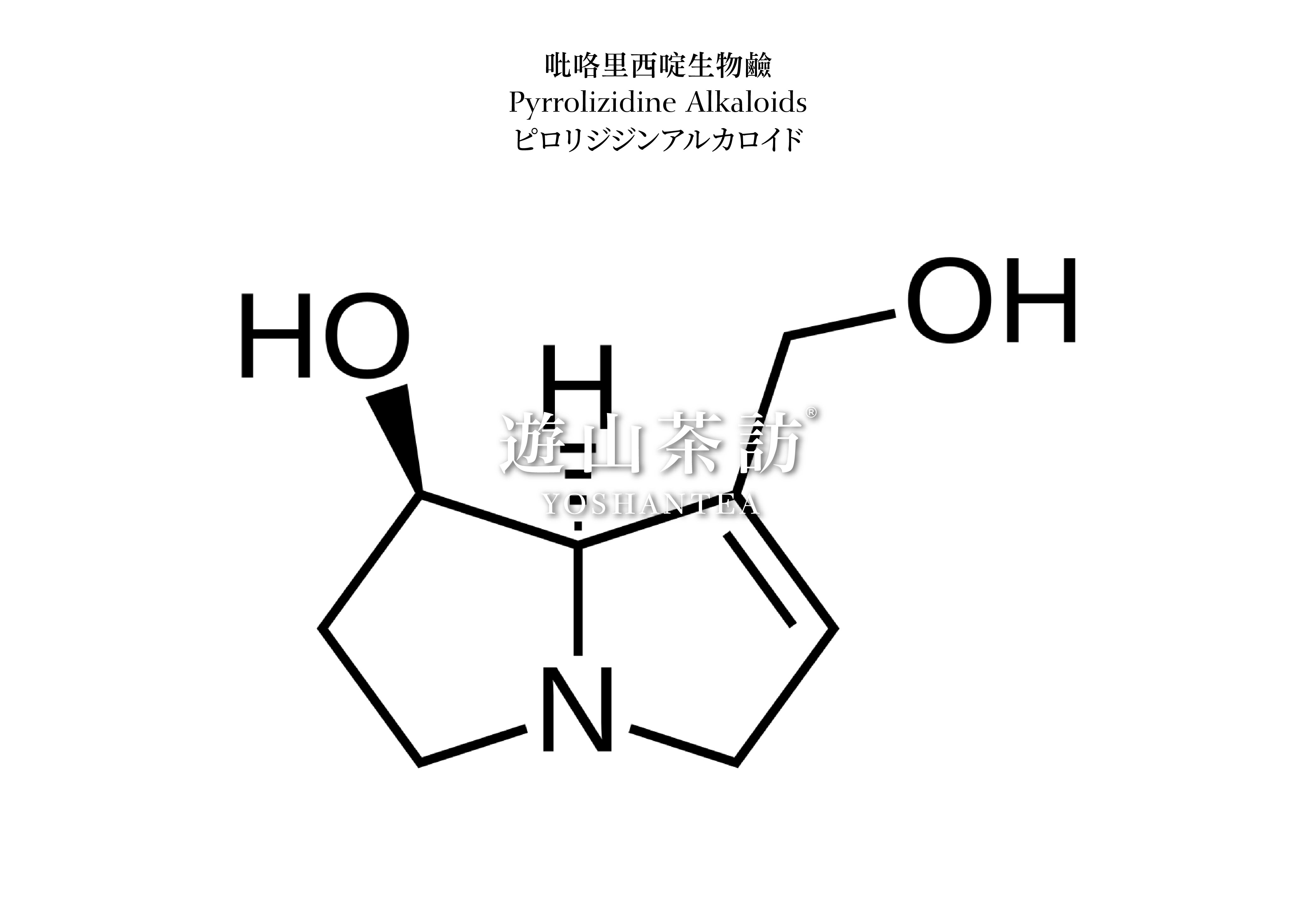 Potential Risks in Tea: Pyrrolizidine Alkaloids (PAs)