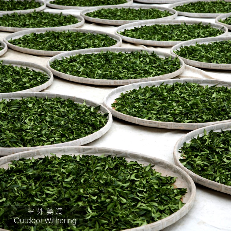 南投茶文化 | 烏龍茶輕鬆喝世界旅人在南投