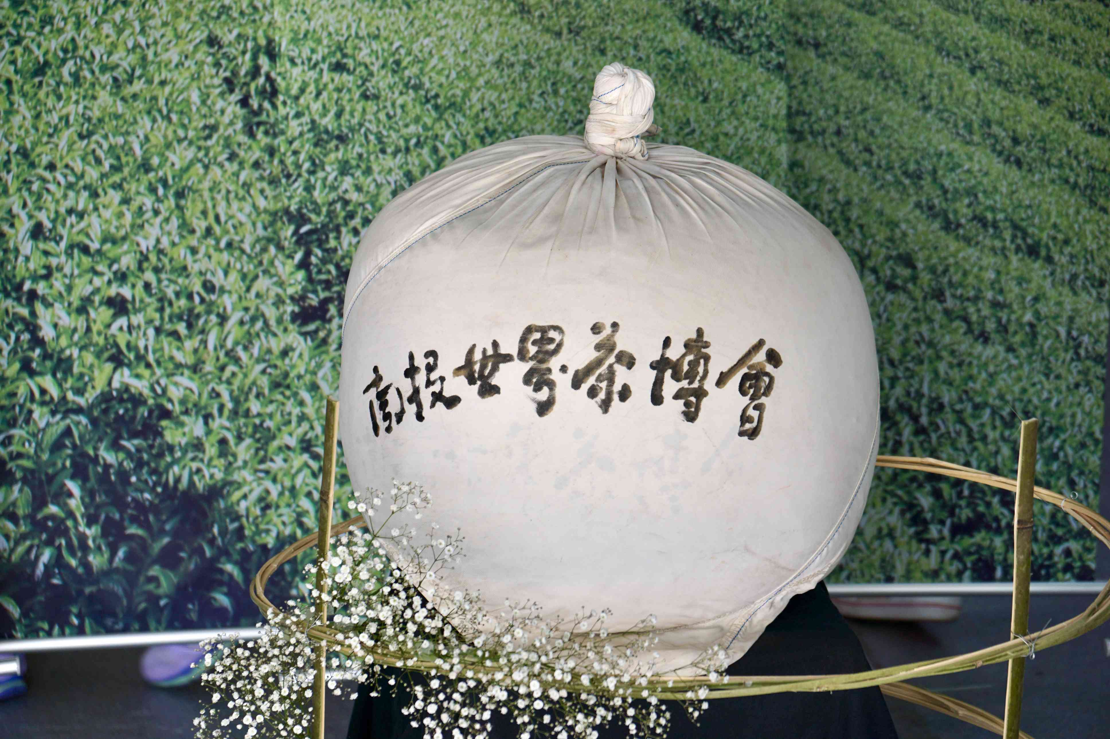 2020 南投世界茶博览会