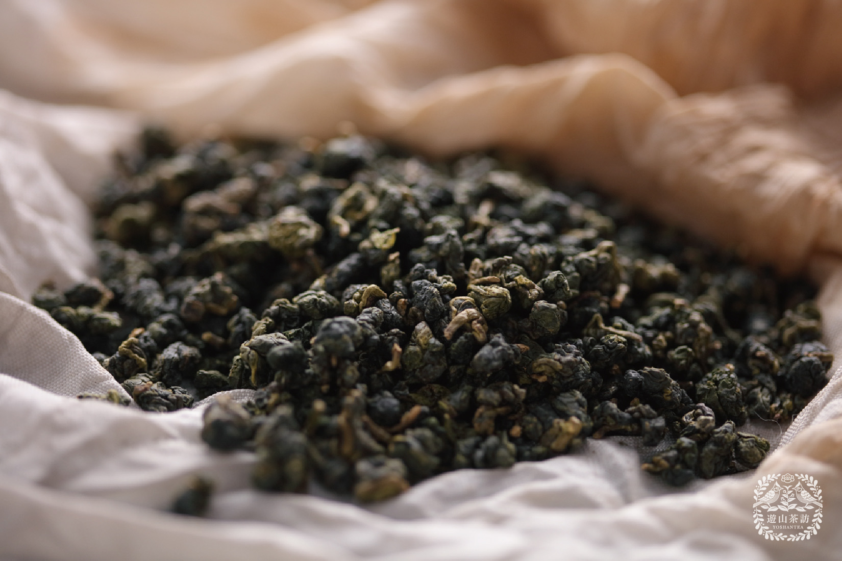 摸不著頭緒的名字｜臺灣茶命名