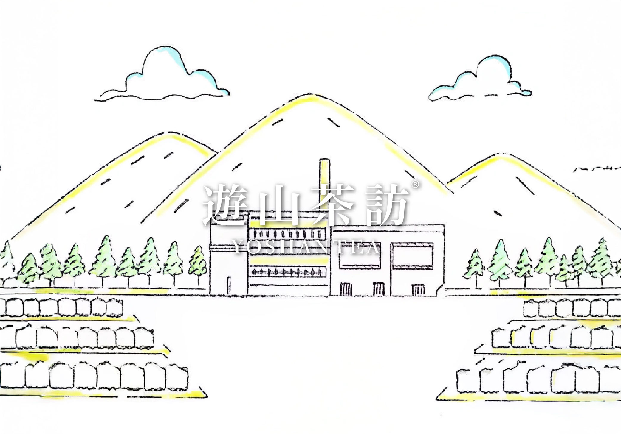 OPDCA：打造有效的茶叶管理制度