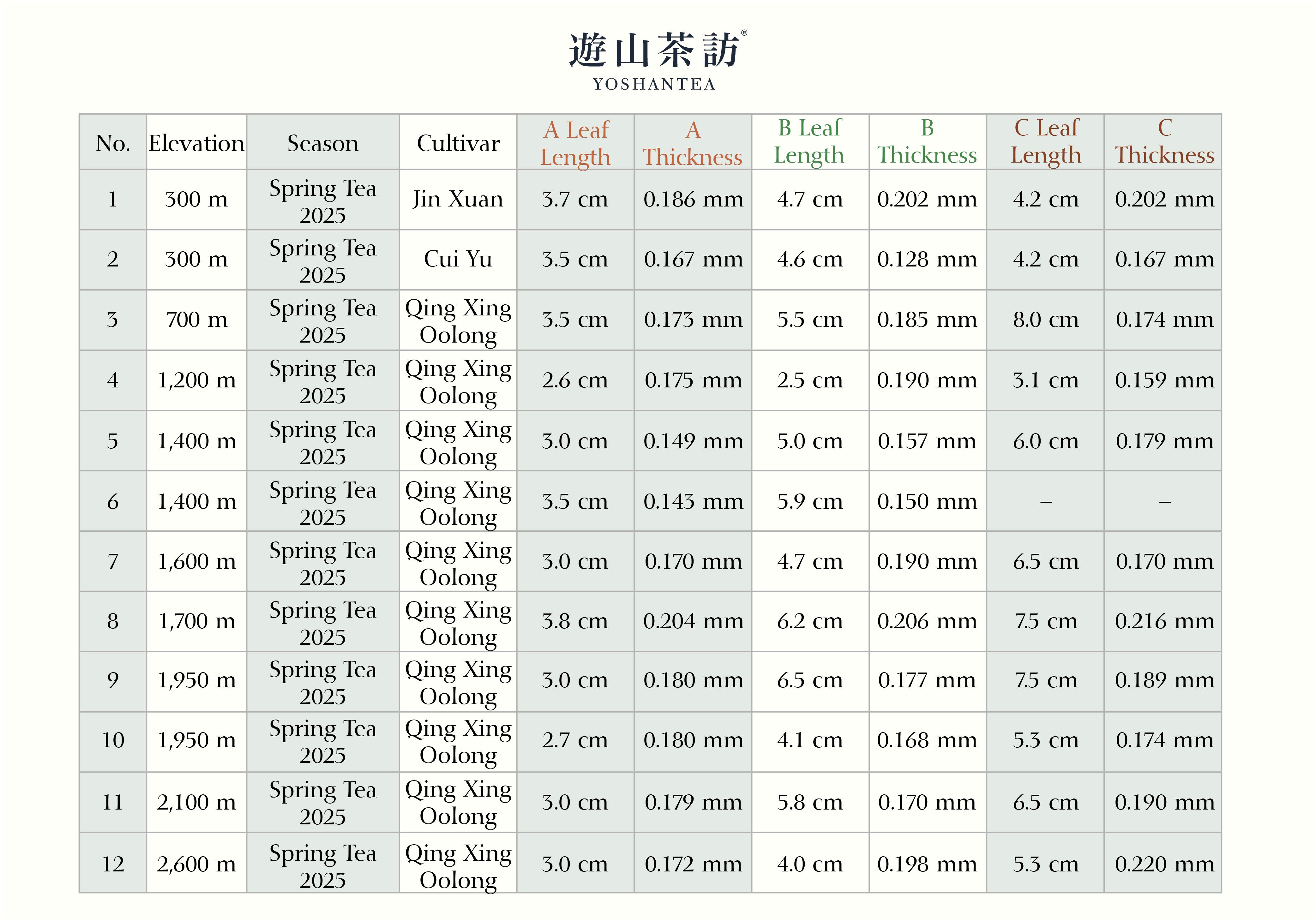 Are High Mountain Tea Leaves Really Thicker?