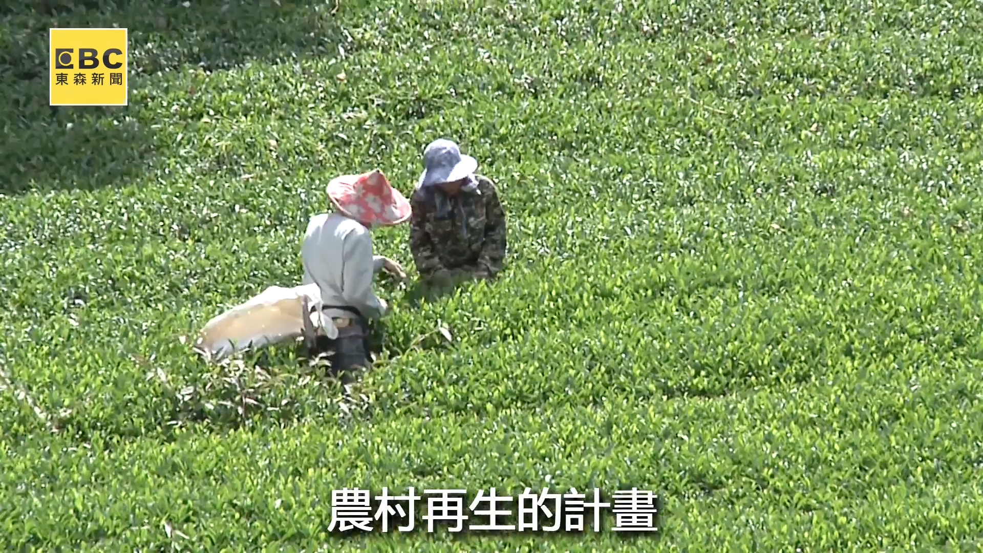 【翻轉農村·蛻變】八卦山麓下匠人精神 從古法到創新的農村再生