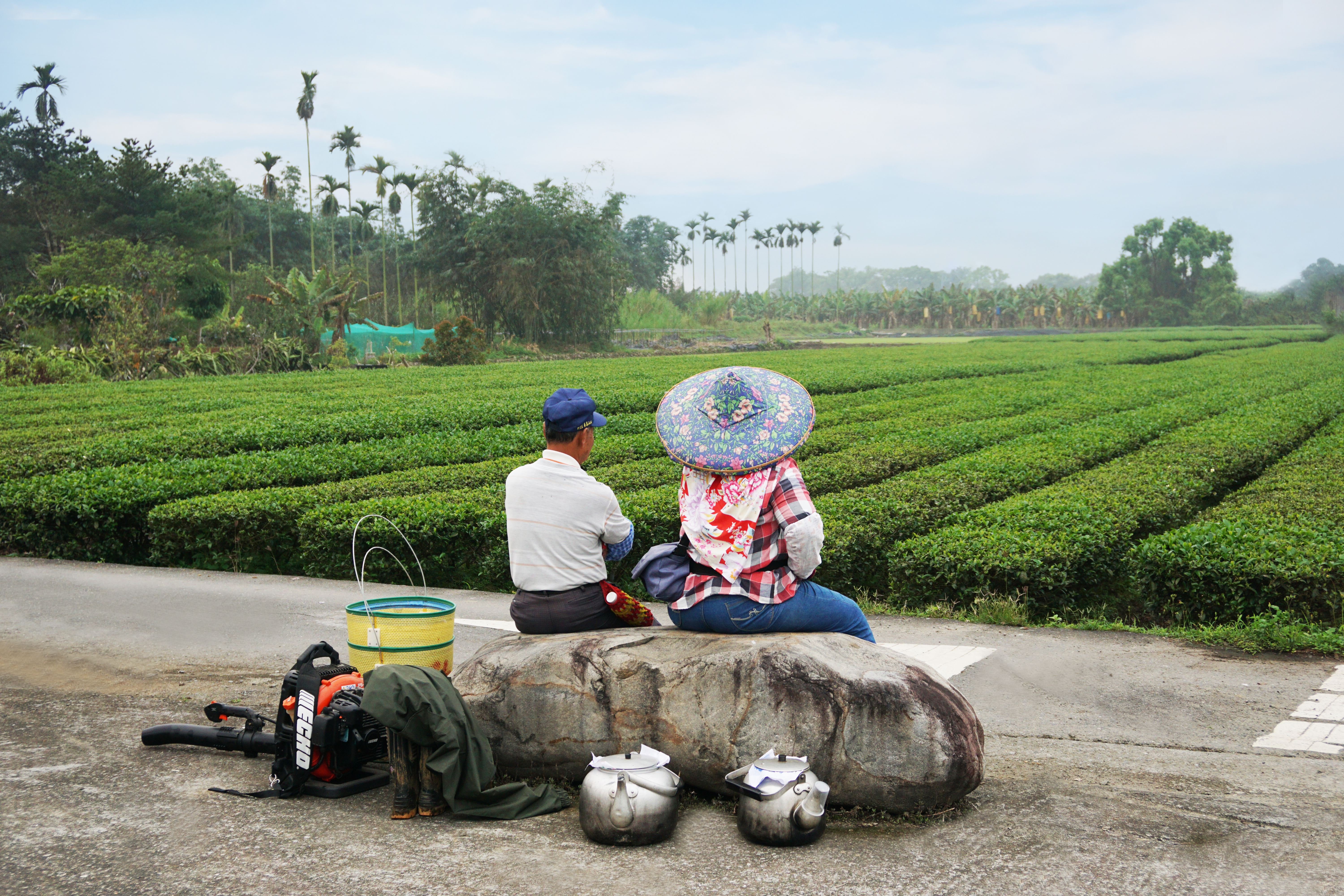 [Tea life] Grand Teapot by Agricultural Field