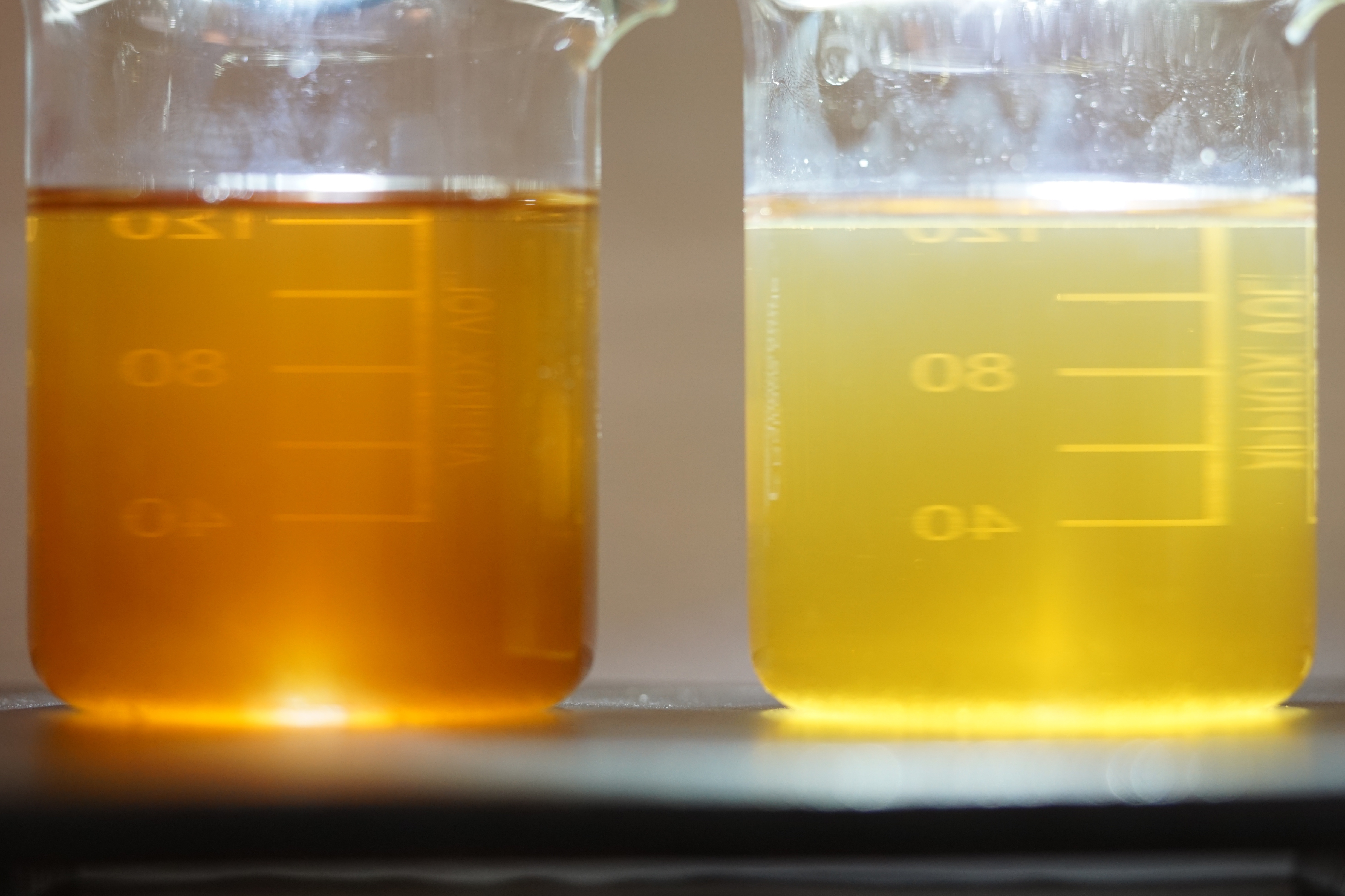 隔夜茶為什麼不能喝