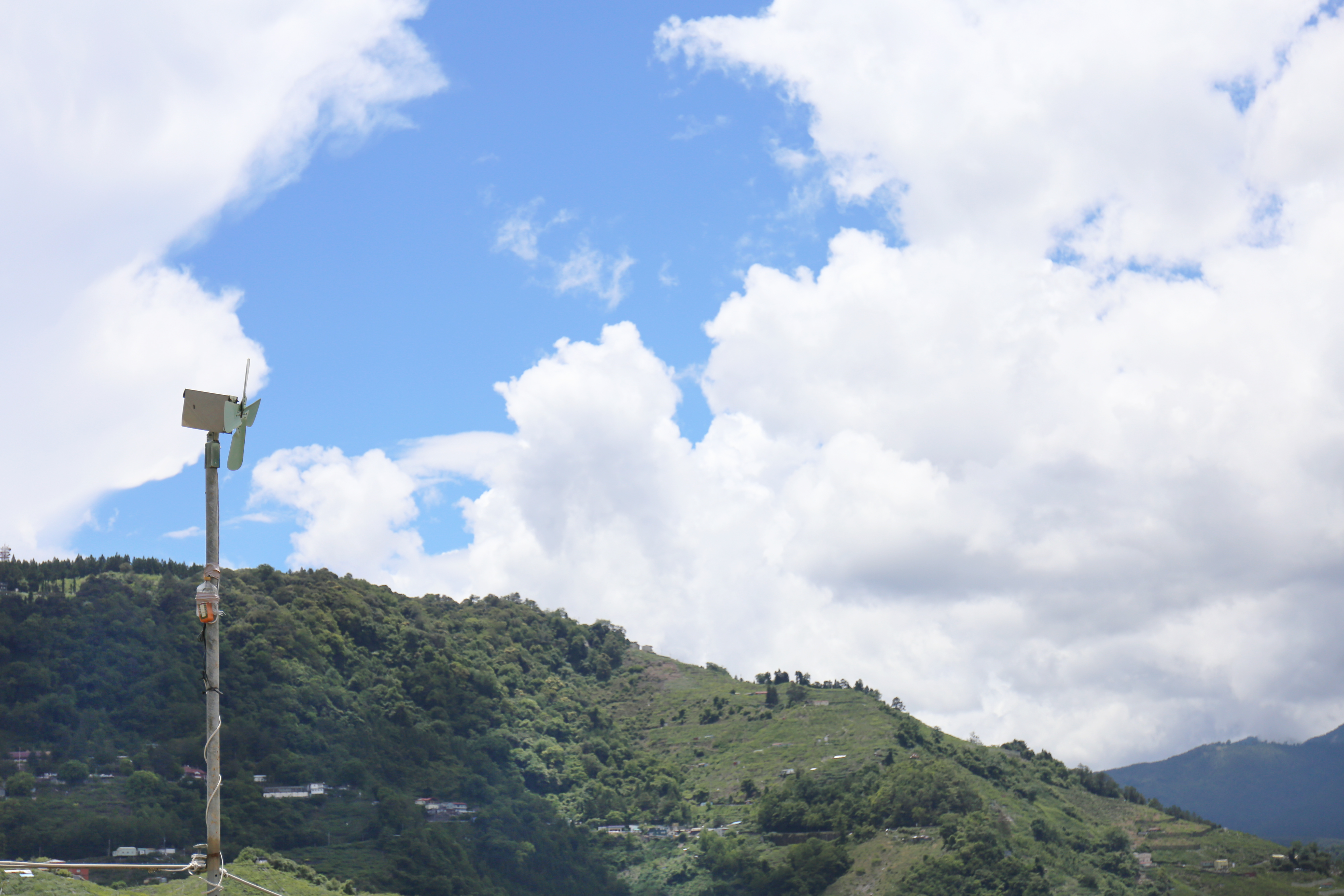 [茶风土] 茶树霜害