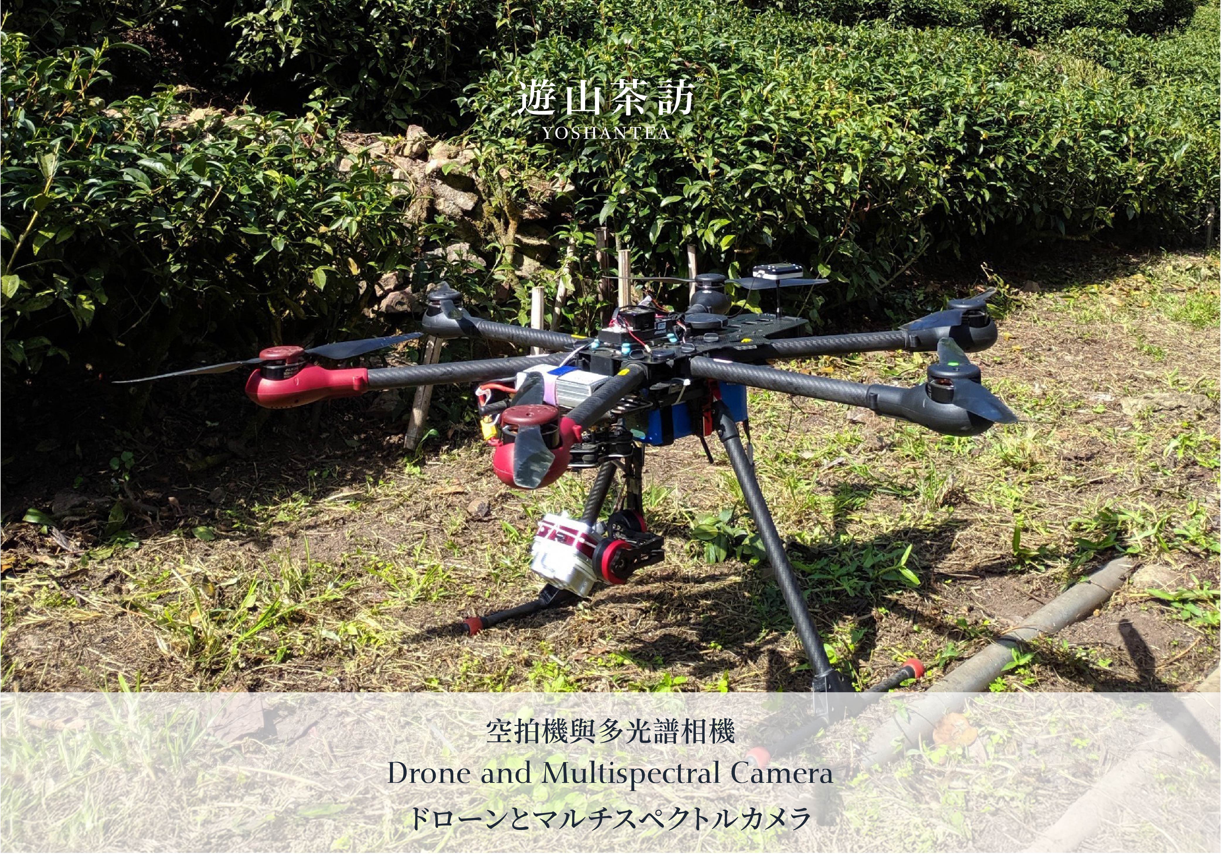 Precision Protection Against Tea Plant Diseases and Pests | Multispectral Imaging and NDVI Applications