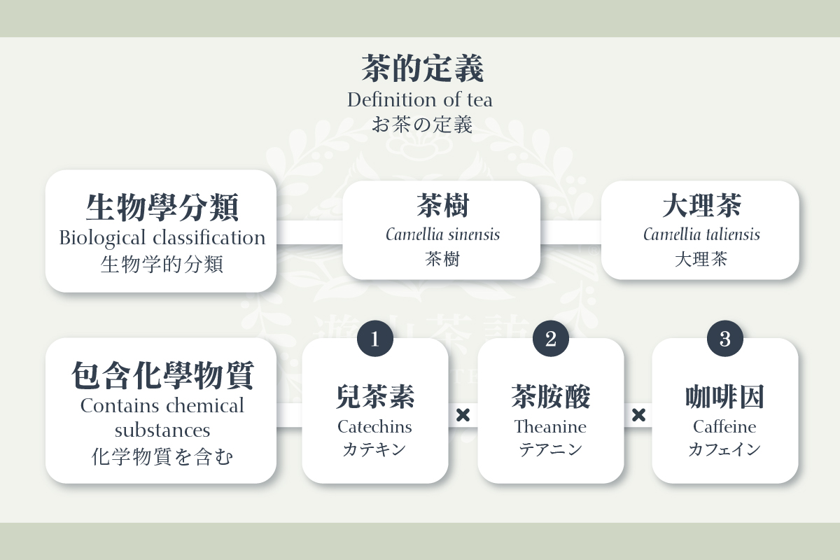 如果将芭乐叶依照乌龙茶制茶流程进行发酵氧化，是否会产生迷人香气与滋味｜「茶」的定义。