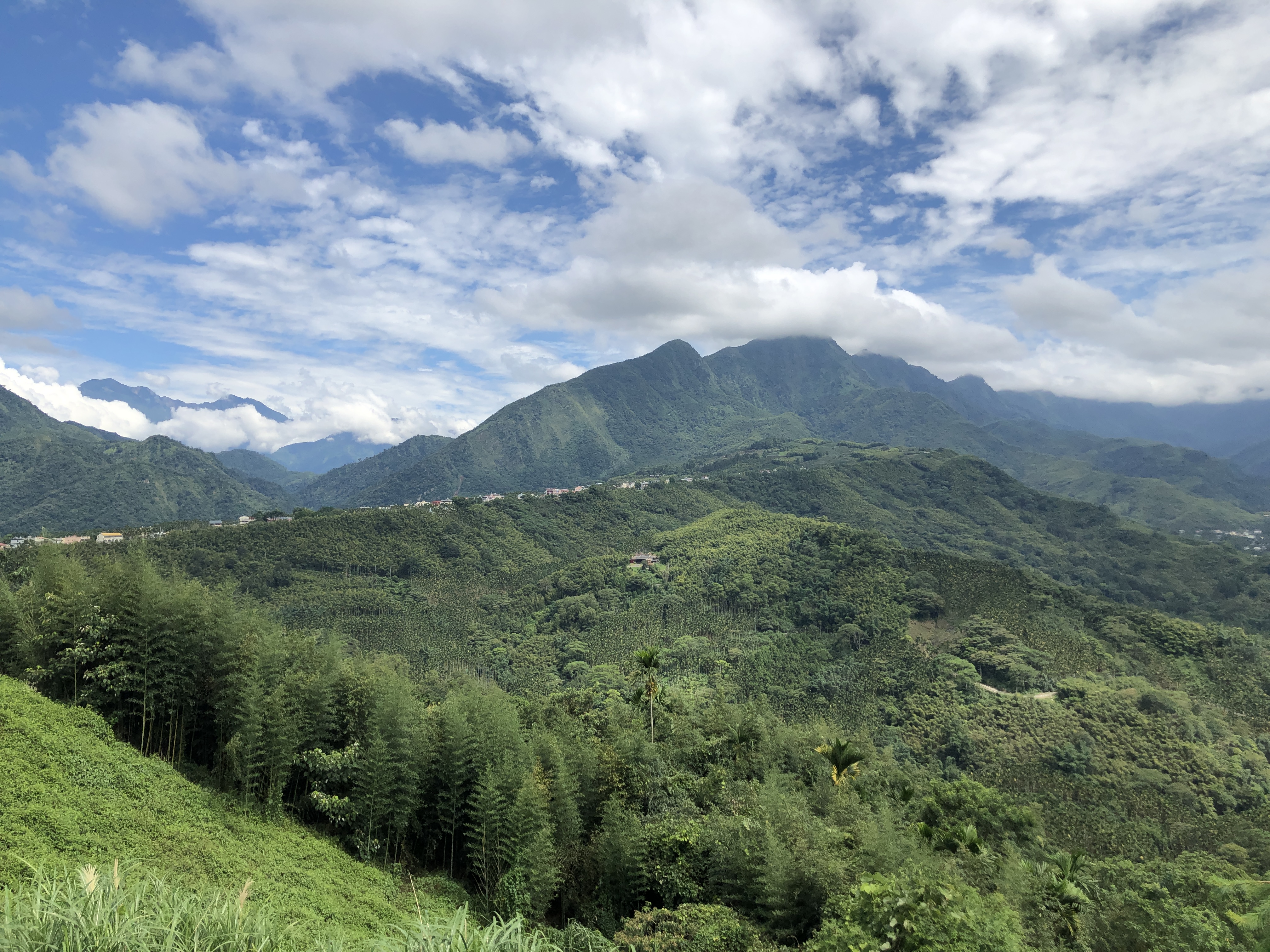 冻顶山