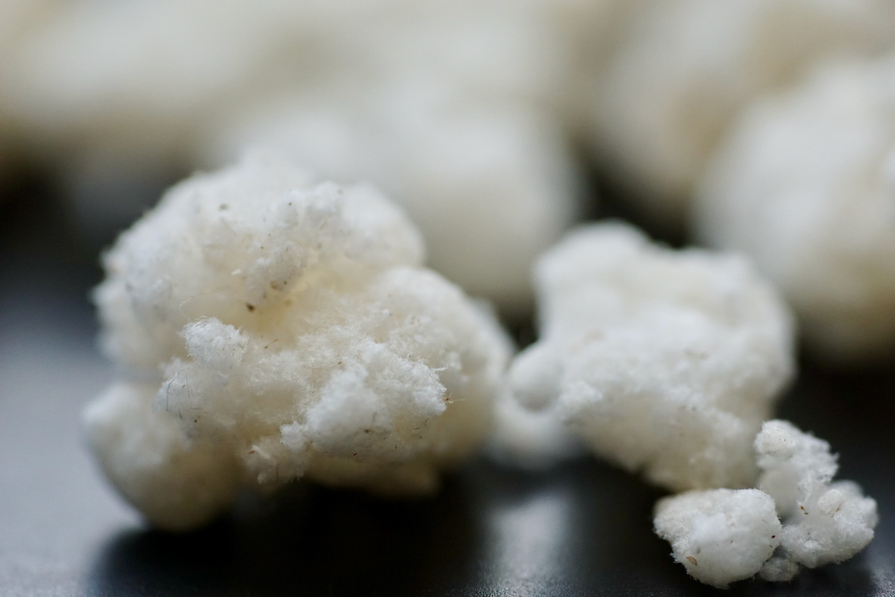 EP02 為什麼喝茶讓人胃痛、睡不著？讓我們來聊聊茶的咖啡因