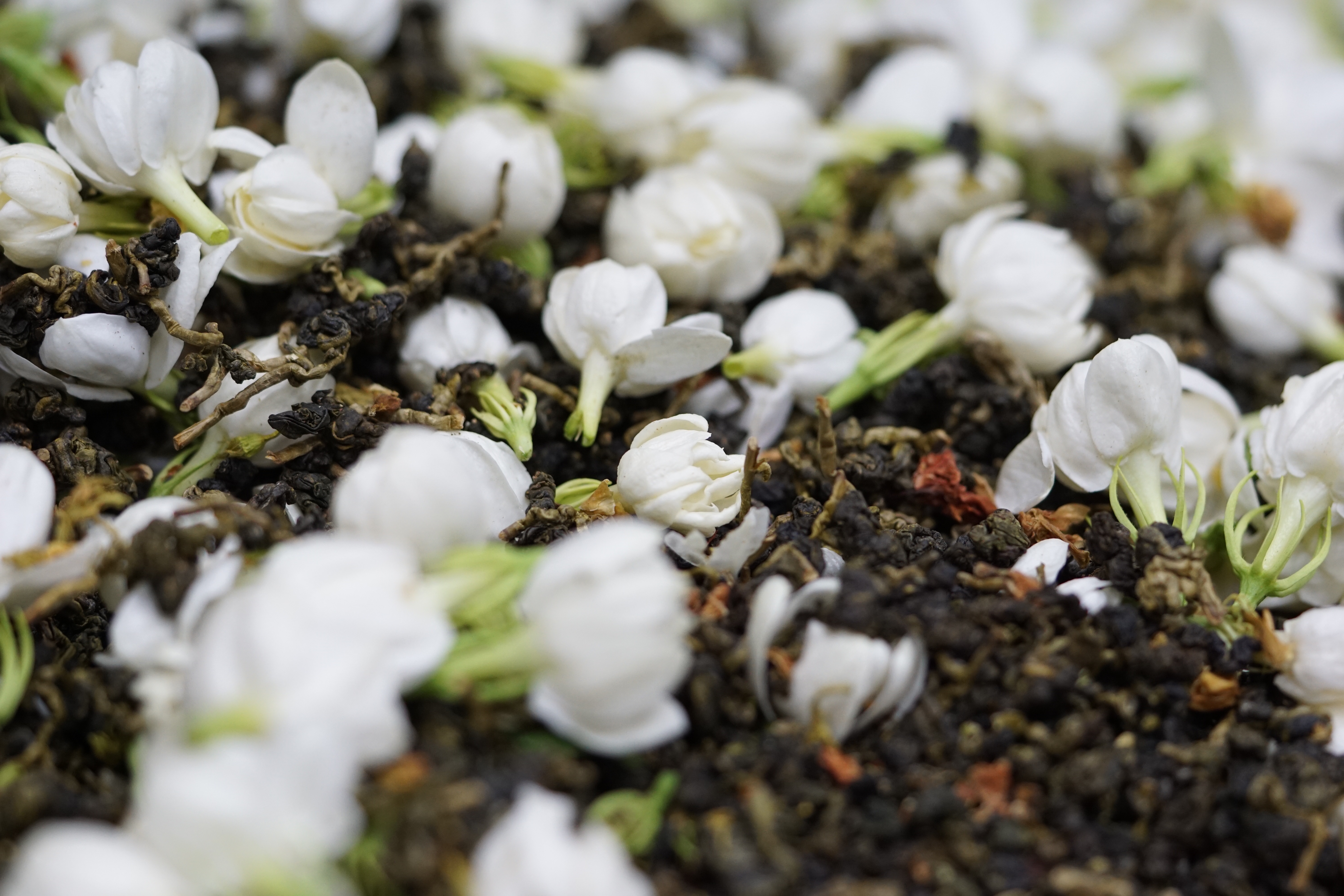 茉莉花烏龍茶