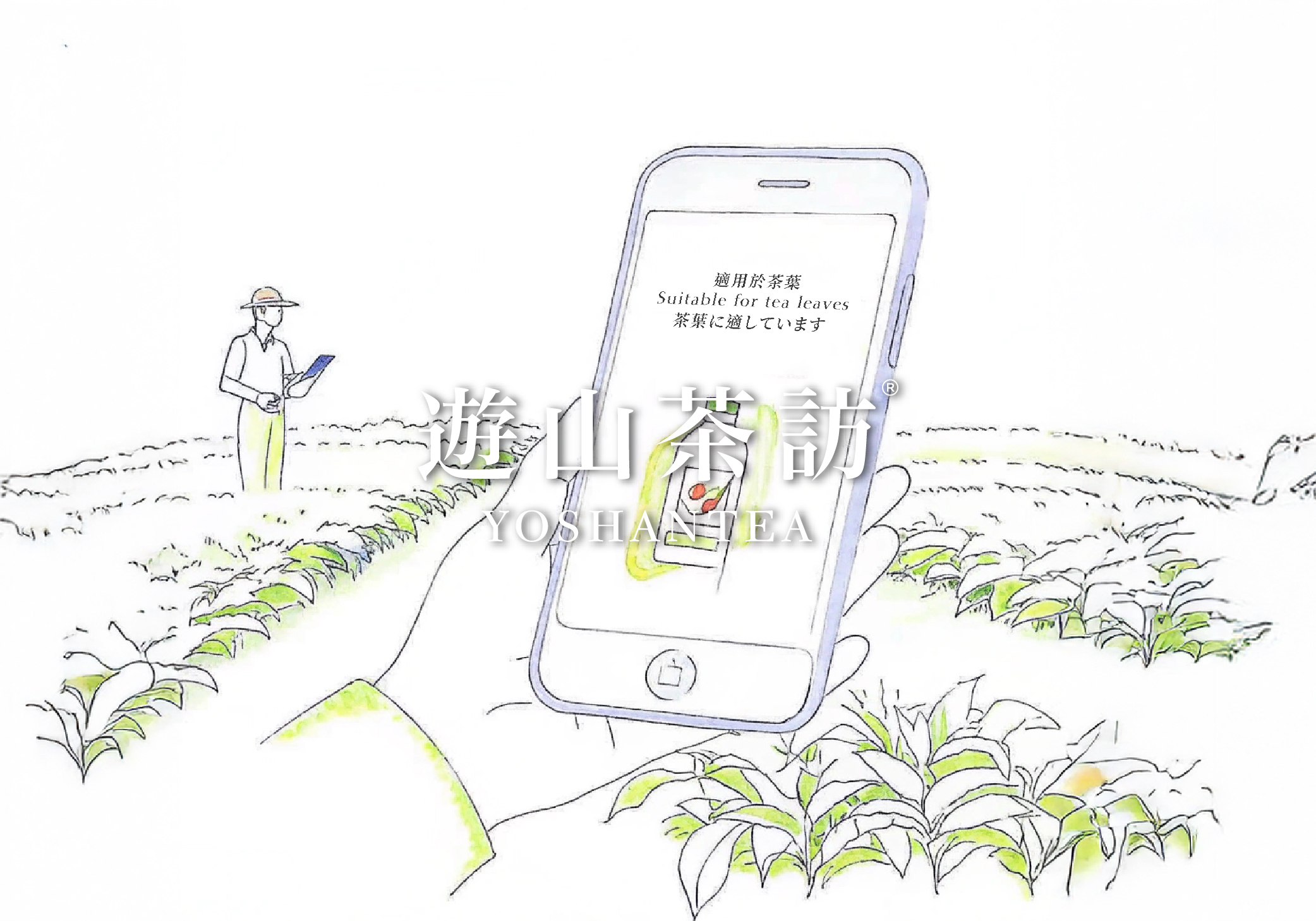 How to Know If a Pesticide Can Be Used on Tea? A Complete Guide