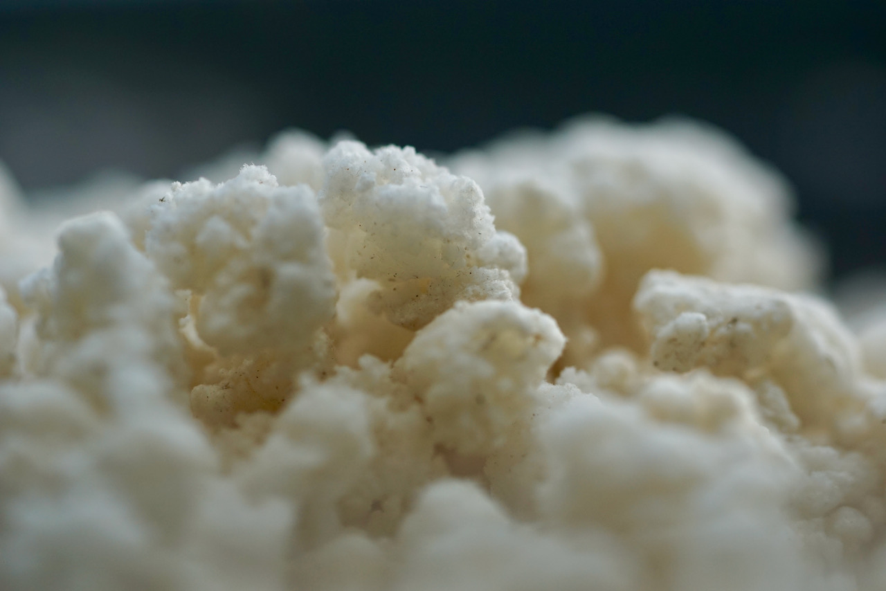 喝烏龍茶讓你睡不著嗎？一篇帶你完整了解茶中咖啡因