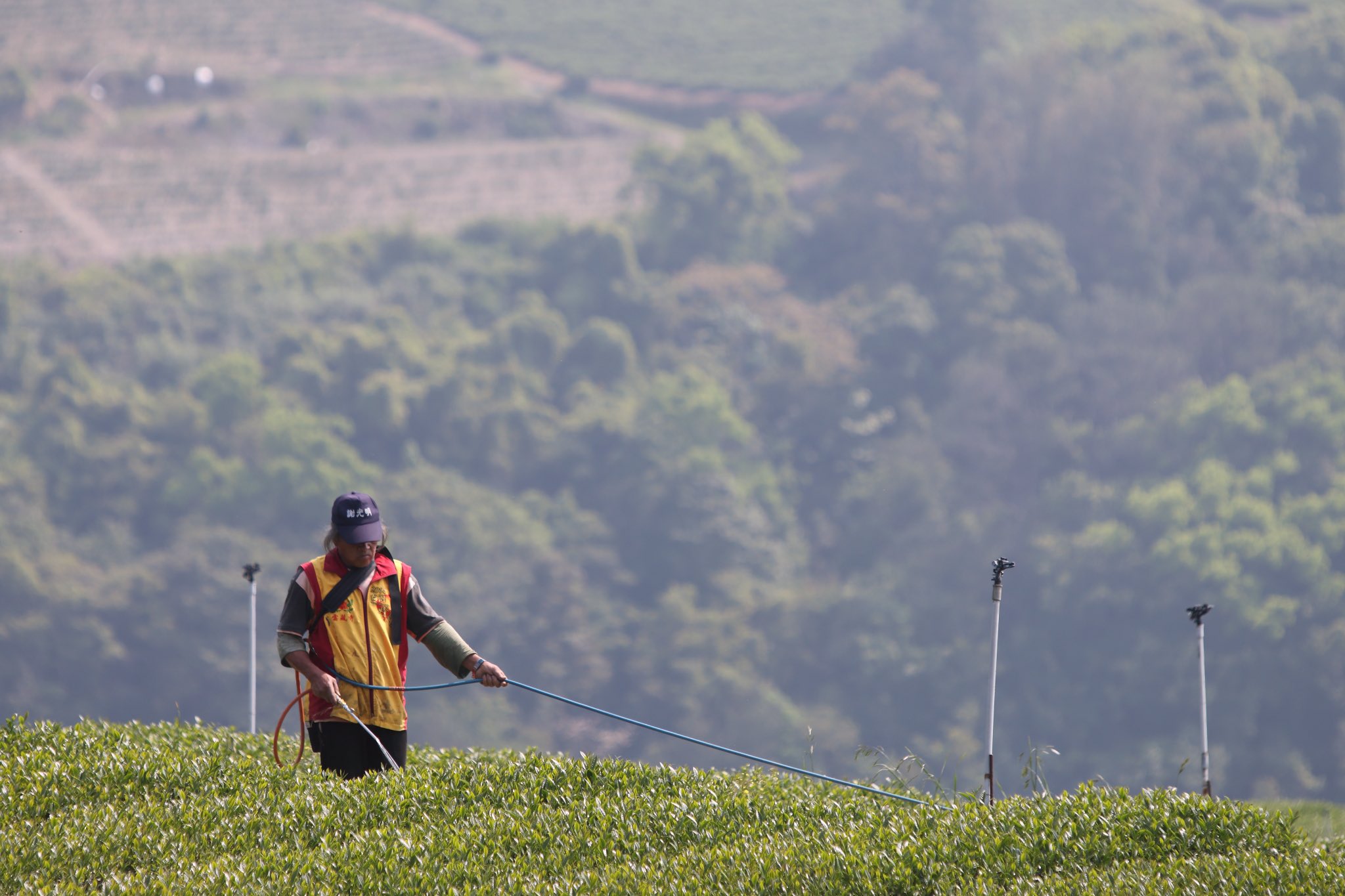 Food and Safety｜Pesticide Part