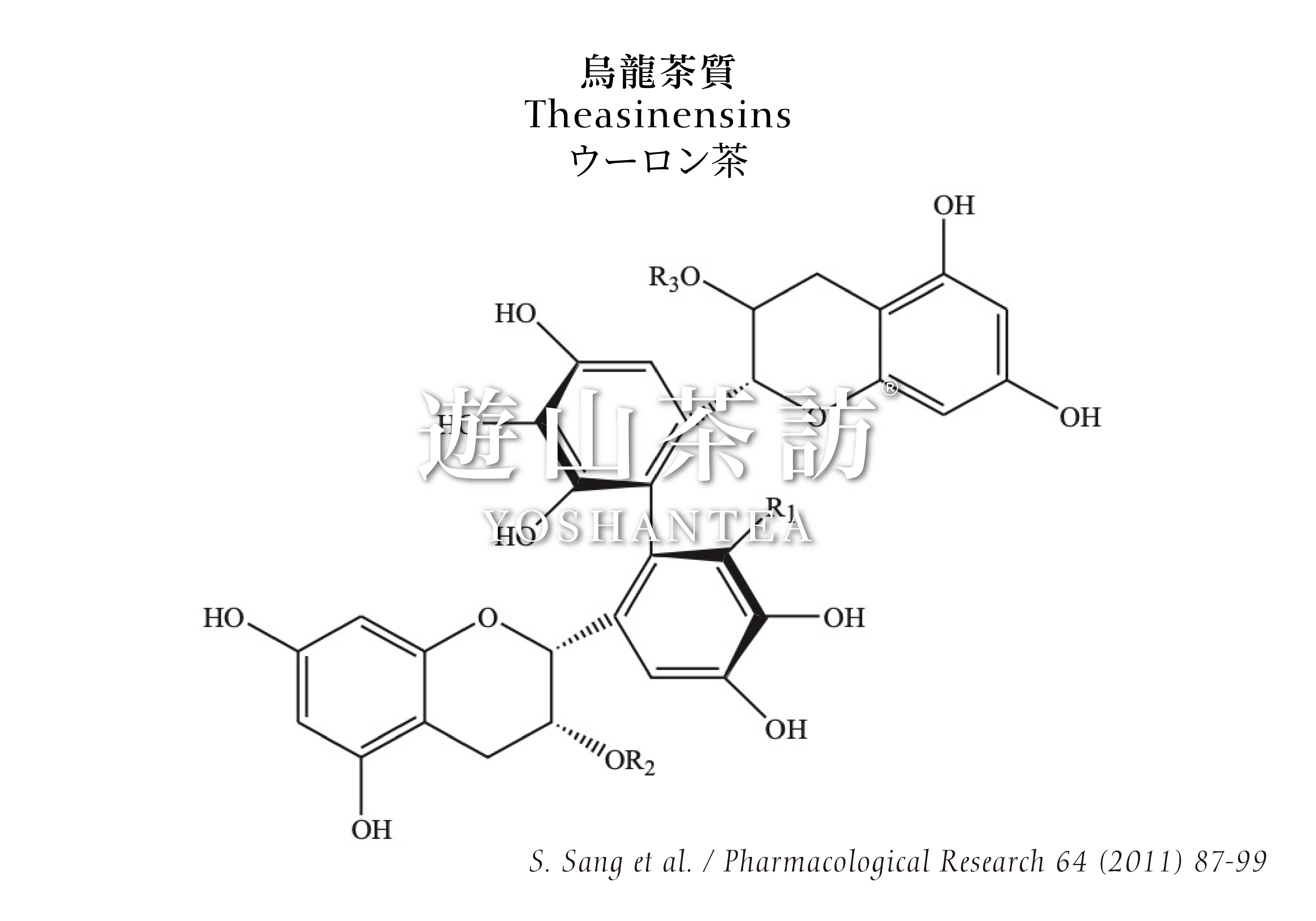 Green Tea Has Catechins, Black Tea Has Theaflavins – What About Oolong Tea?｜A Brief Introduction to Theasinensins