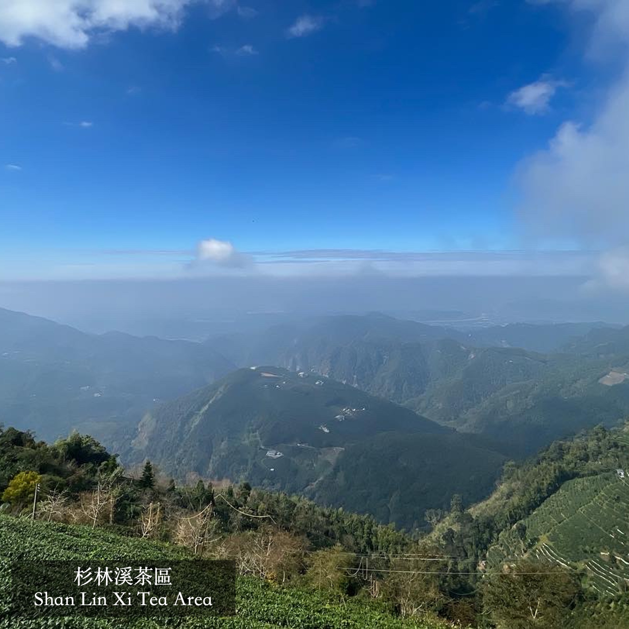 南投好好玩｜來茶鄉聞茶香好山好水放鬆趣