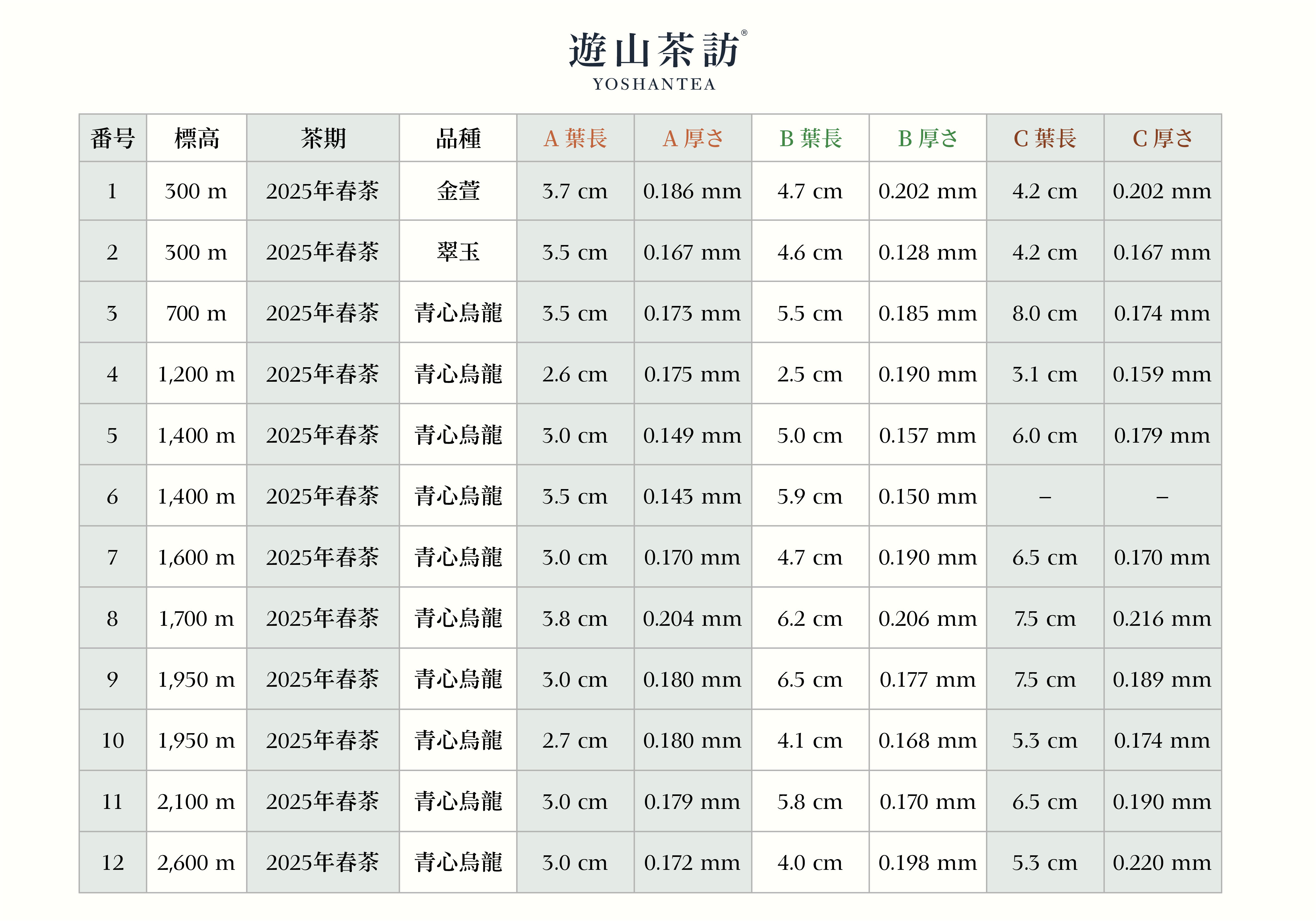 高山茶の葉は本当に厚いのか？