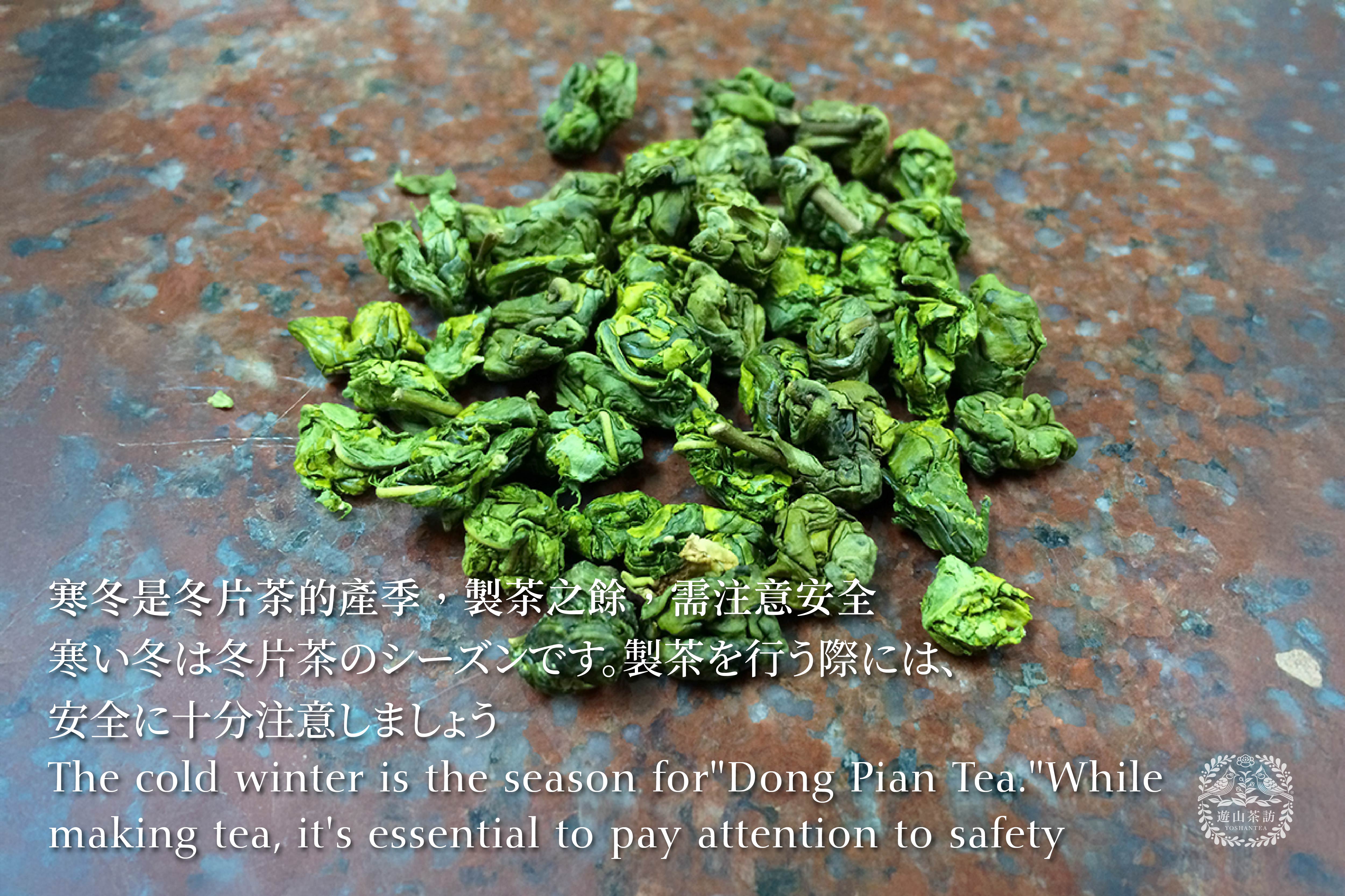 寒い冬は冬片茶のシーズンです。製茶を行う際には、安全に十分注意しましょう