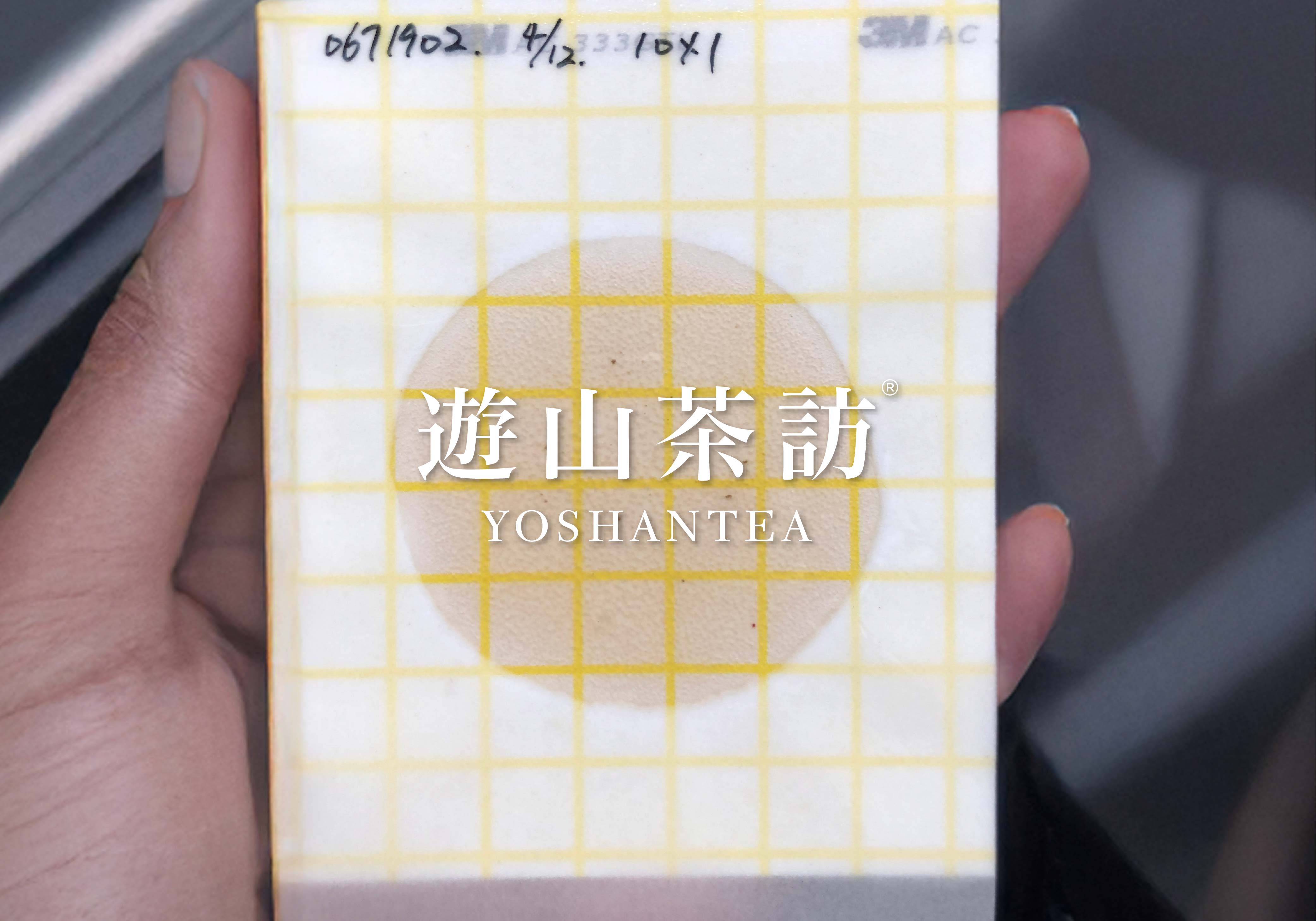 Do Dried Tea Leaves Contain Bacteria?