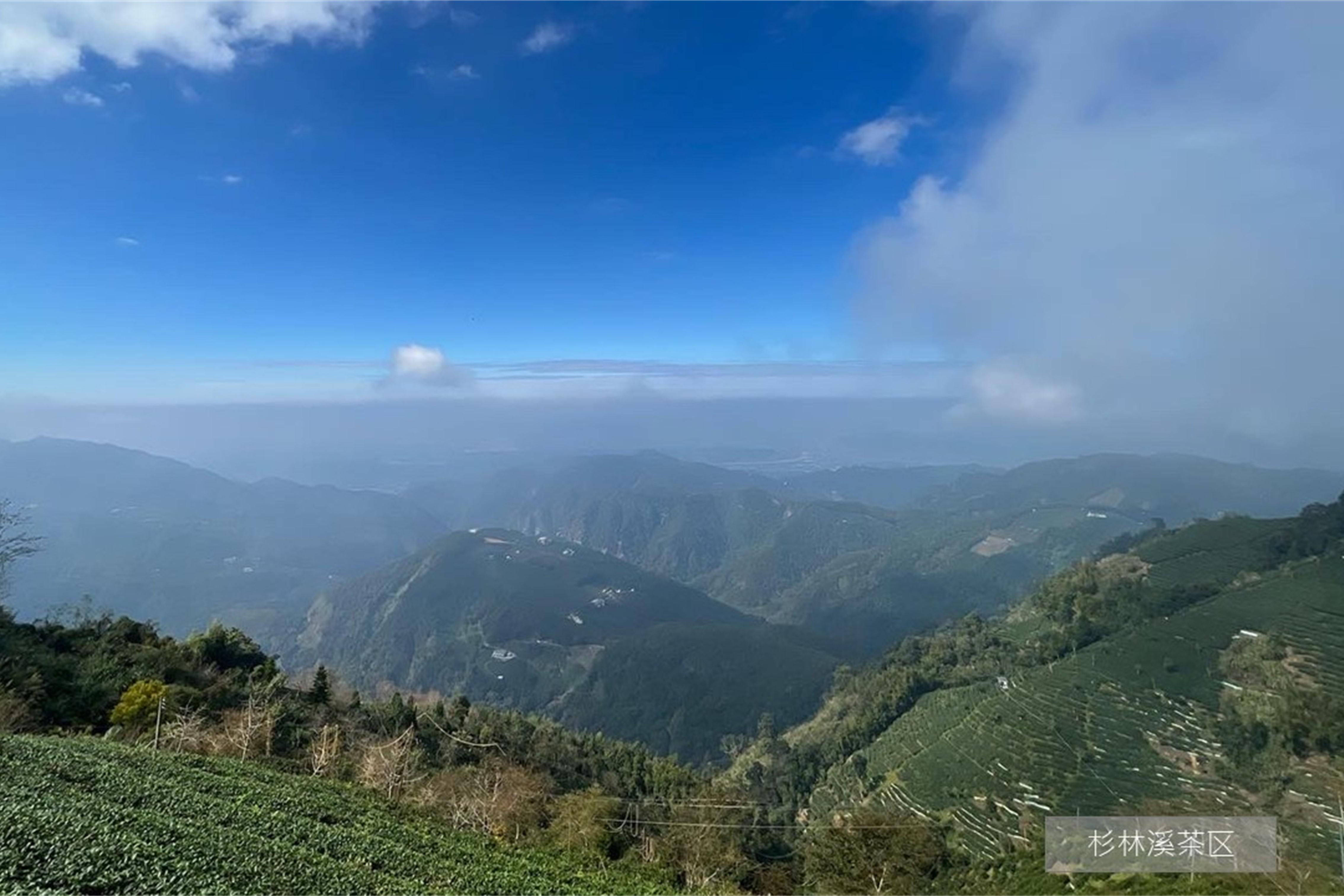 南投好好玩｜来茶乡闻茶香好山好水放松趣