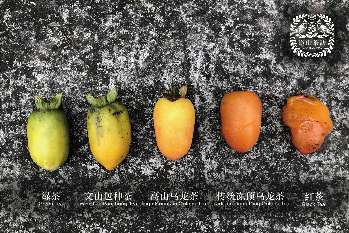 常见的“清茶”与“青茶”，到底是什么茶？｜茶叶发酵程度与命名