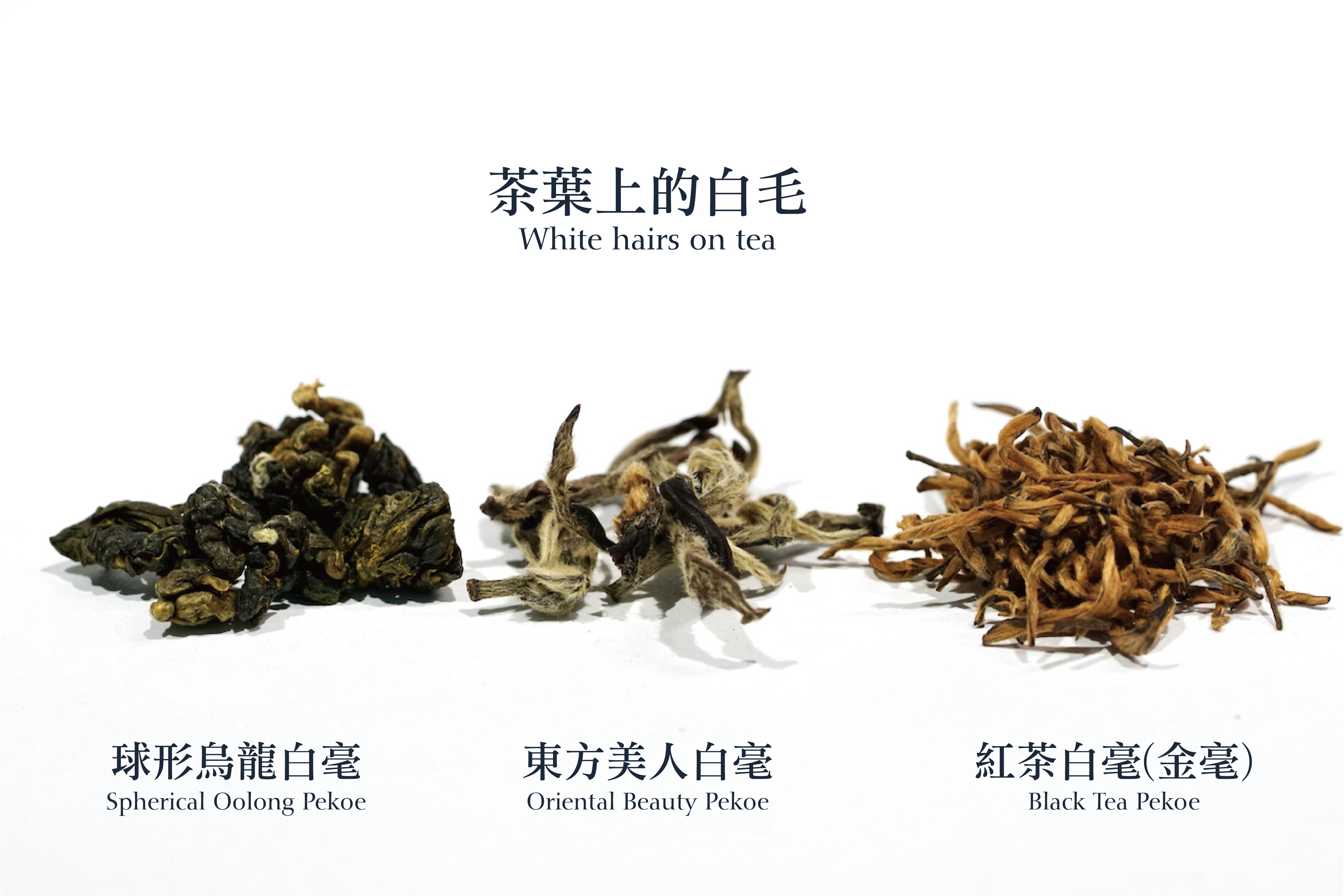 茶叶表面有白毛，这还可以喝吗？ ｜茶叶发霉